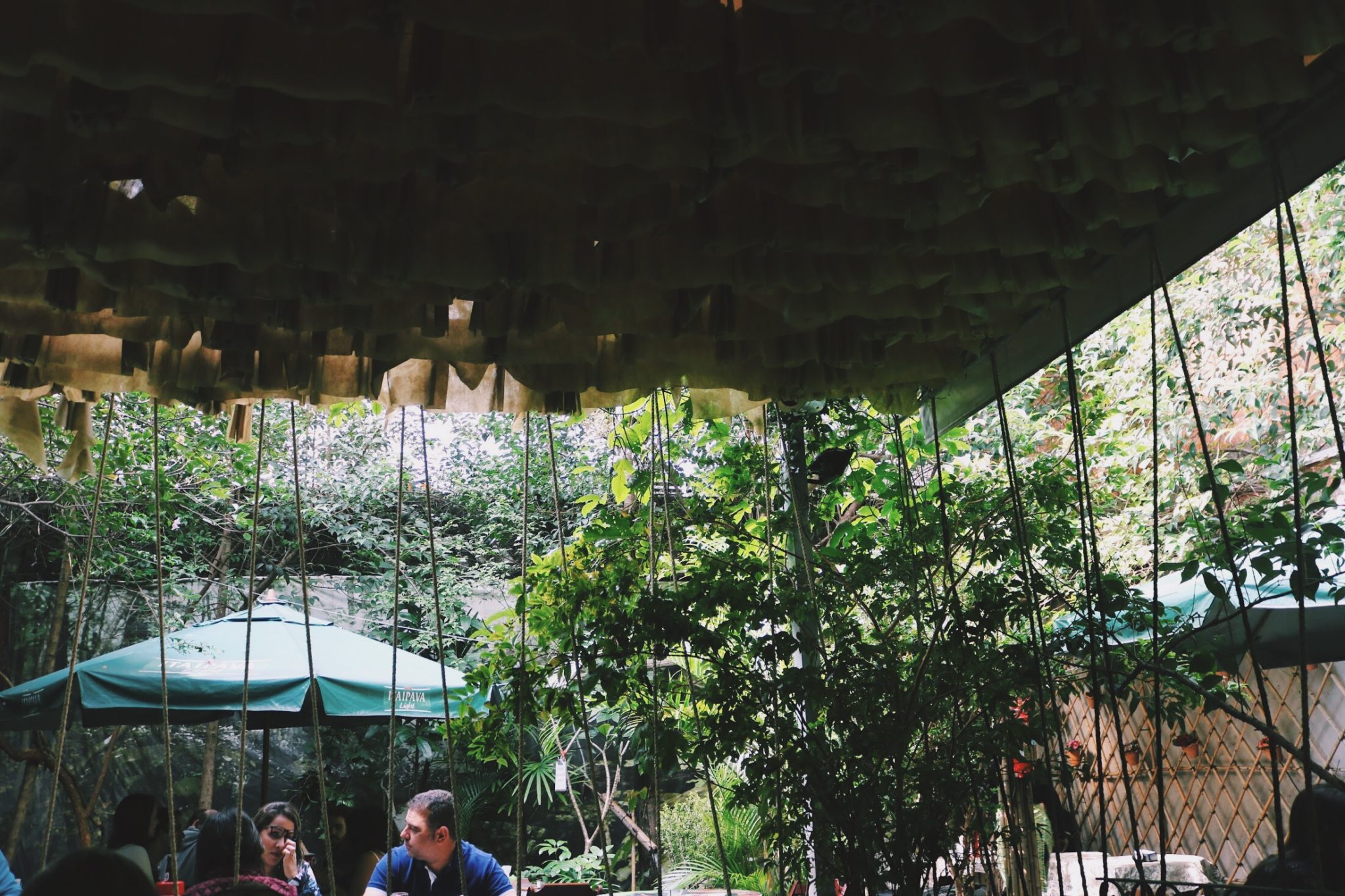 Quase um oásis: restaurante escondido na Benedito Calixto