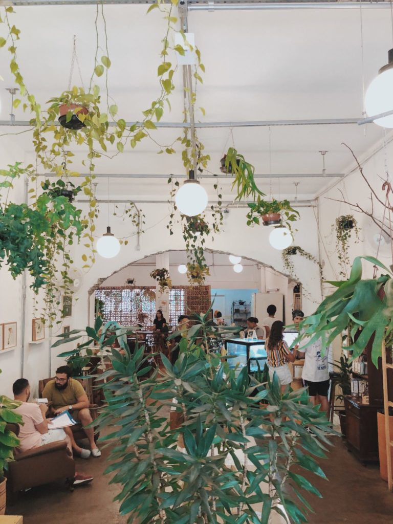 Jardin do Centro: cafeteria, sorveteria ou loja de plantas?